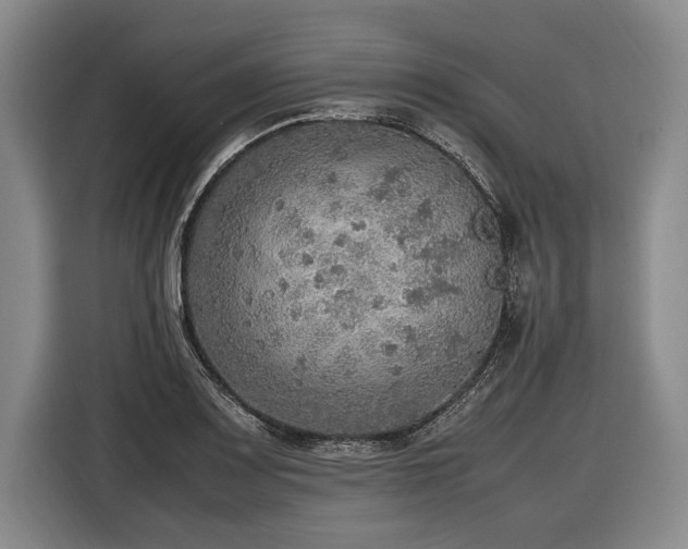 X0000116461083200912161227