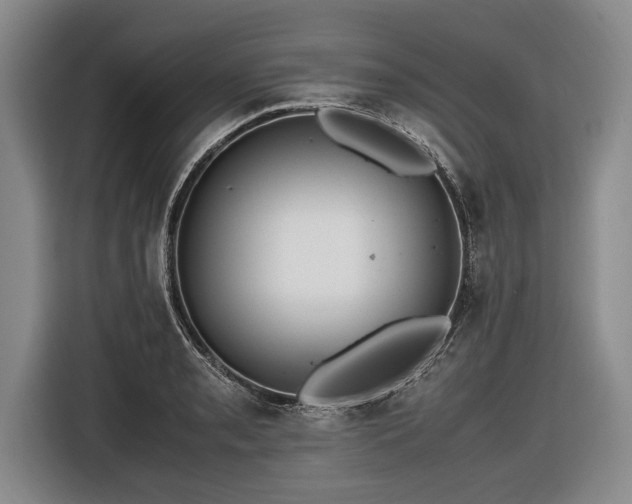 X0000116461085200912161227