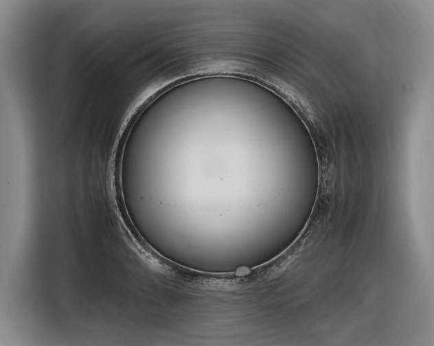 X0000116461086200912161227