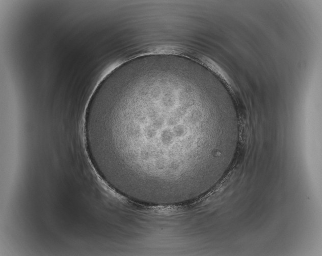 X0000116461087200912161227