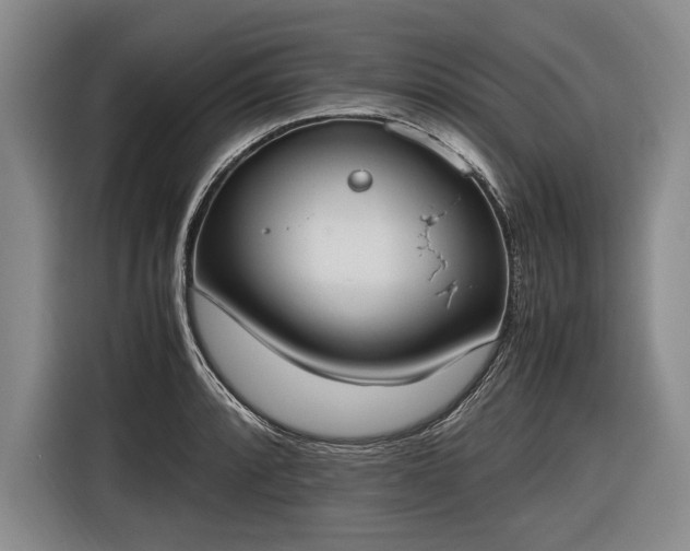 X0000116461088200912161227