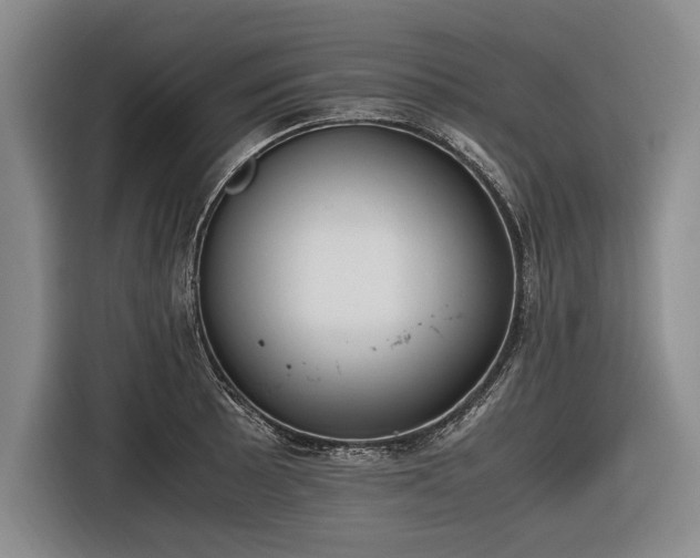 X0000116461089200912161227