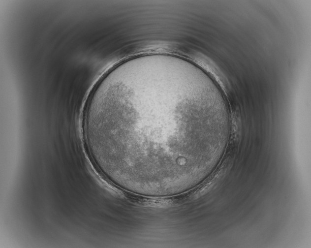X0000116461090200912161227