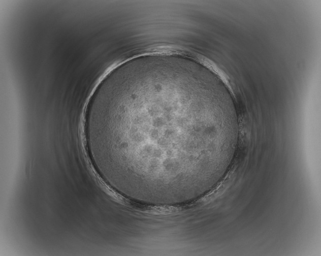 X0000116461091200912161227