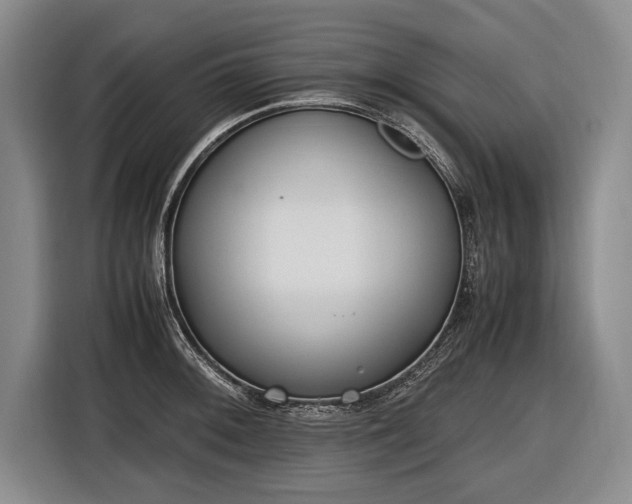 X0000116461092200912161227