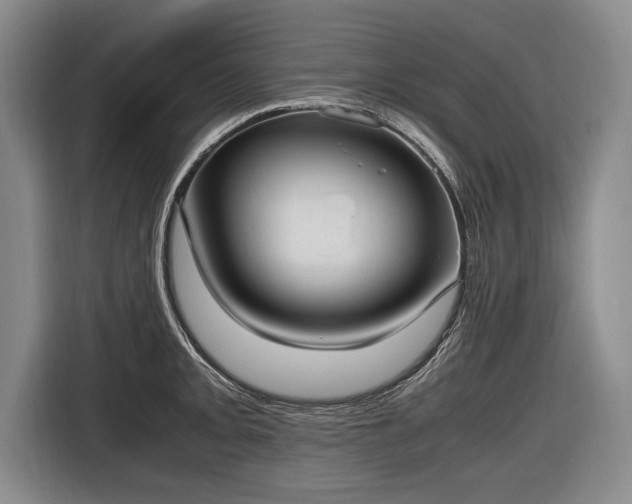 X0000116461093200912161227