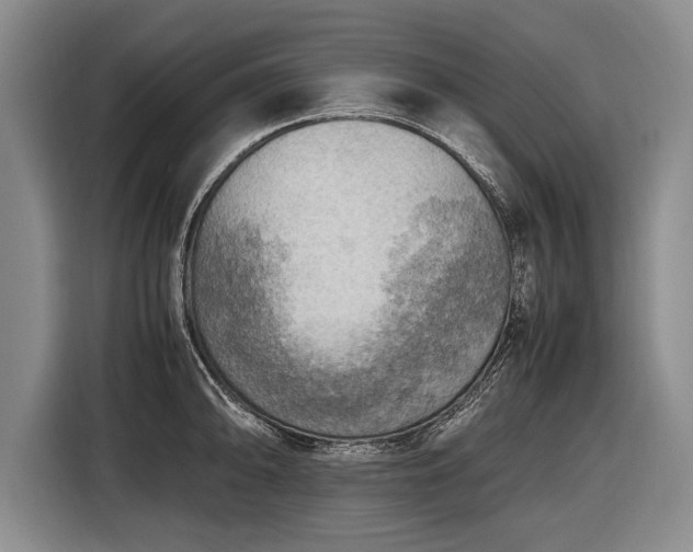 X0000116461094200912161227