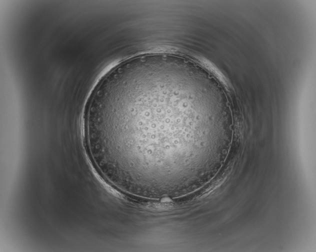 X0000116461095200912161227