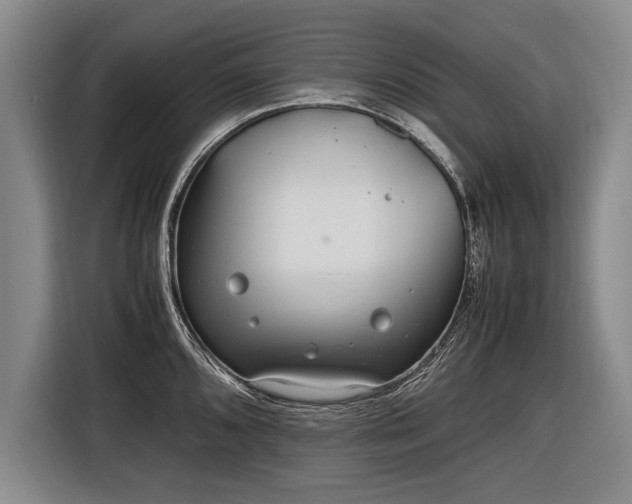 X0000116461096200912161227