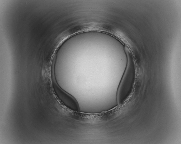 X0000116461097200912161227