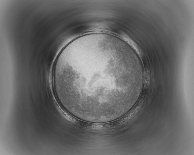 X0000116461098200912161227