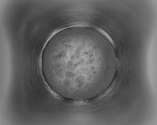 X0000116461099200912161227