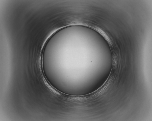 X0000116461100200912161227
