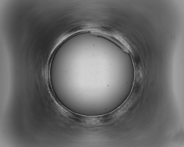 X0000116461101200912161227