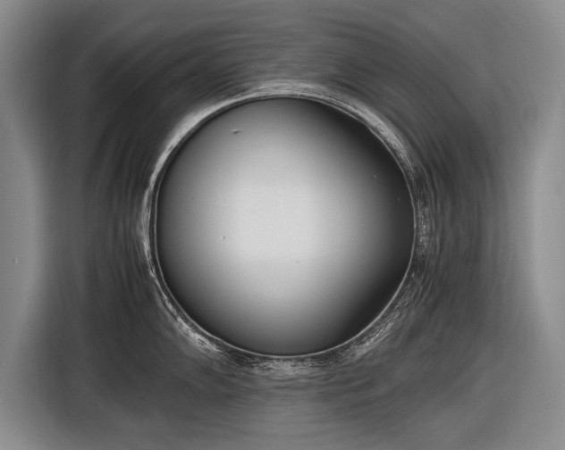 X0000116461102200912161227