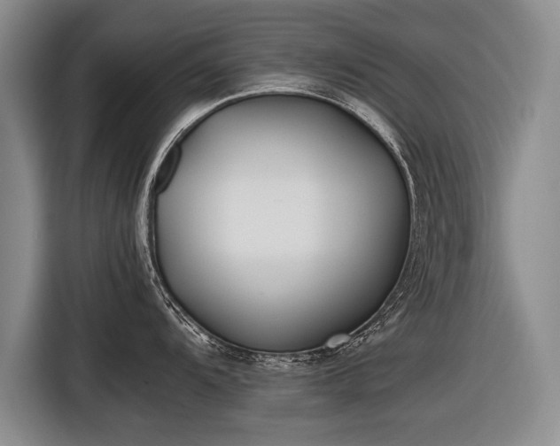 X0000116461104200912161227