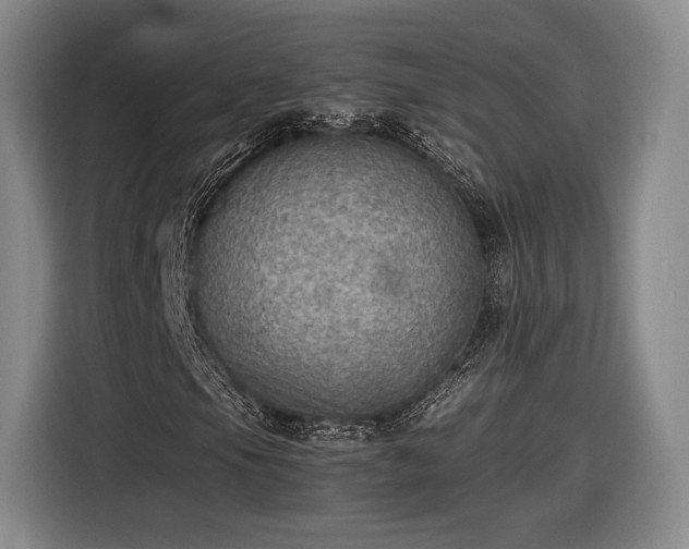 X0000116461105200912161226