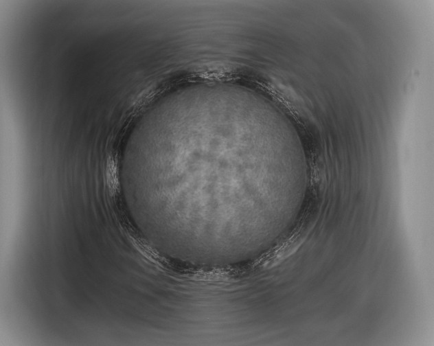 X0000116461106200912161226