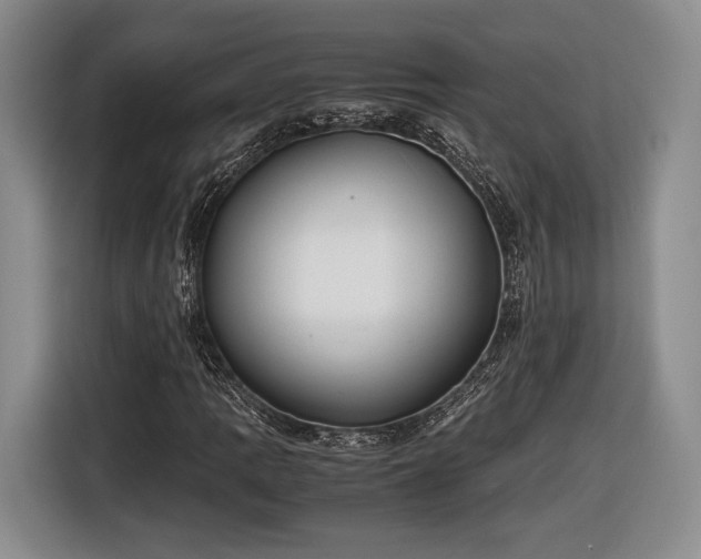 X0000116461109200912161226