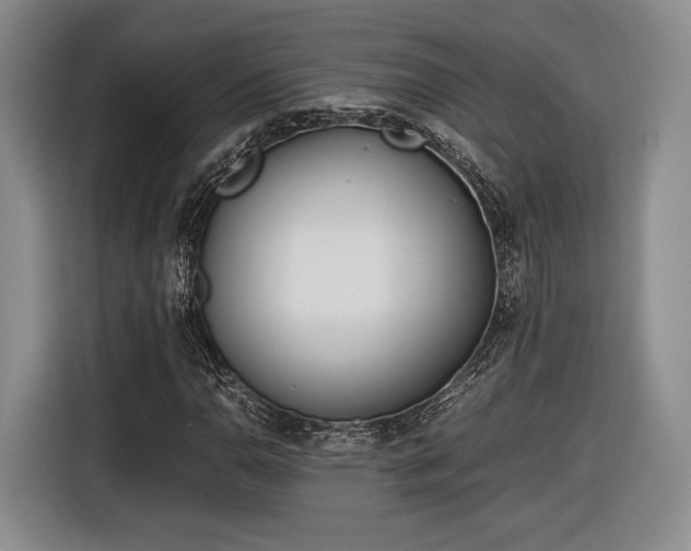 X0000116461110200912161226