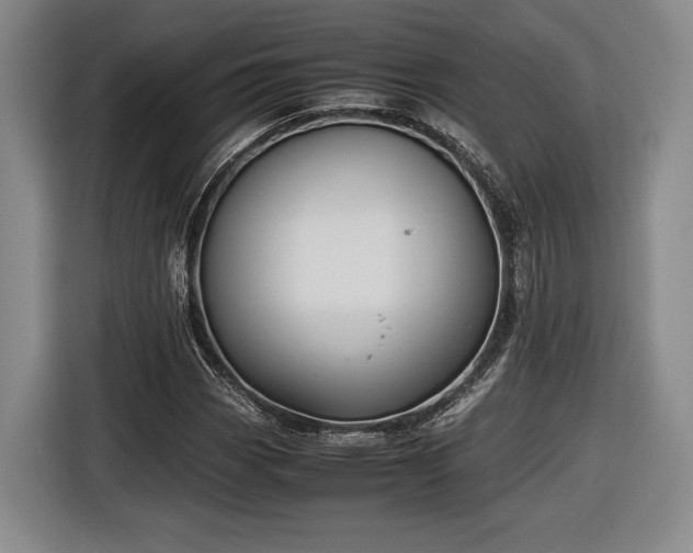X0000116461113200912161226