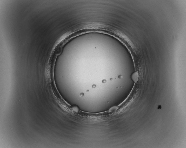 X0000116461114200912161226