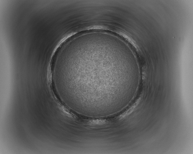 X0000116461117200912161226