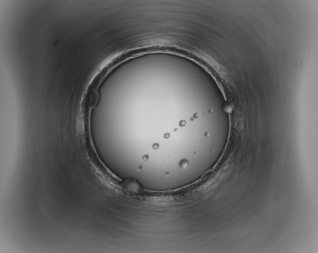 X0000116461118200912161227