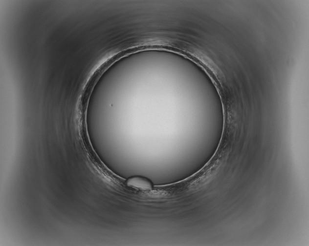 X0000116461119200912161227