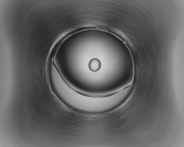 X0000116461122200912161227