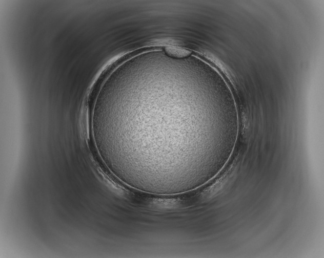 X0000116461123200912161227