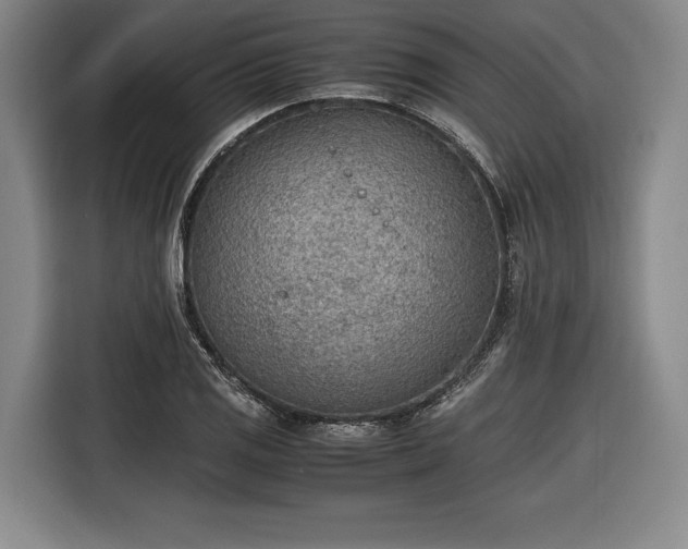 X0000116461125200912161227