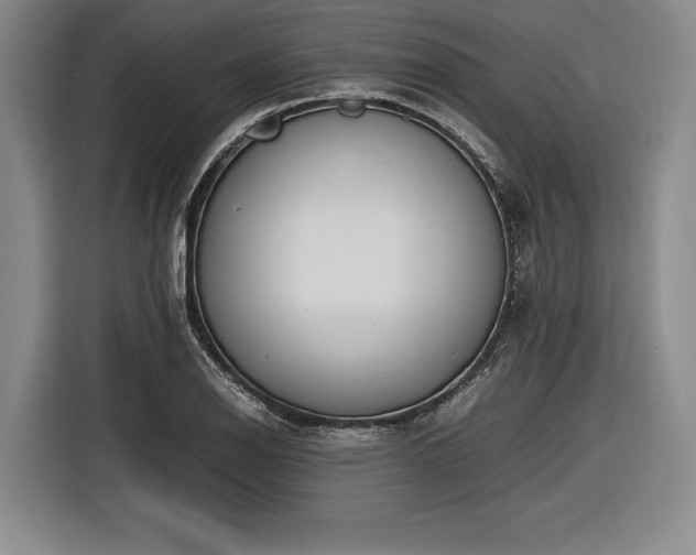 X0000116461126200912161227