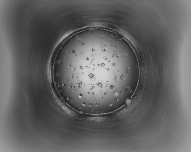 X0000116461127200912161227
