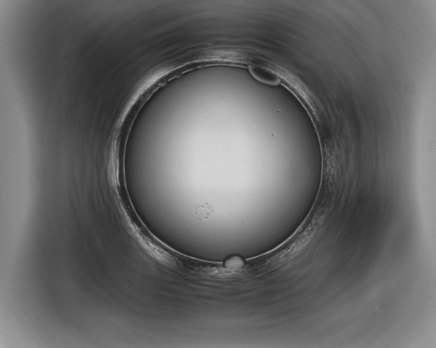X0000116461131200912161227