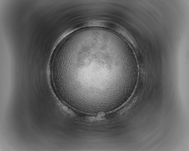 X0000116461133200912161227