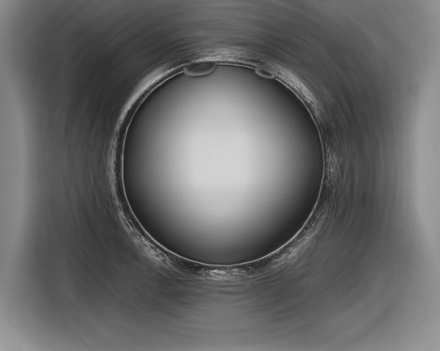 X0000116461138200912161227