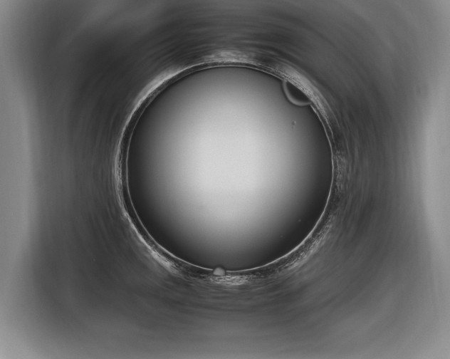 X0000116461141200912161227