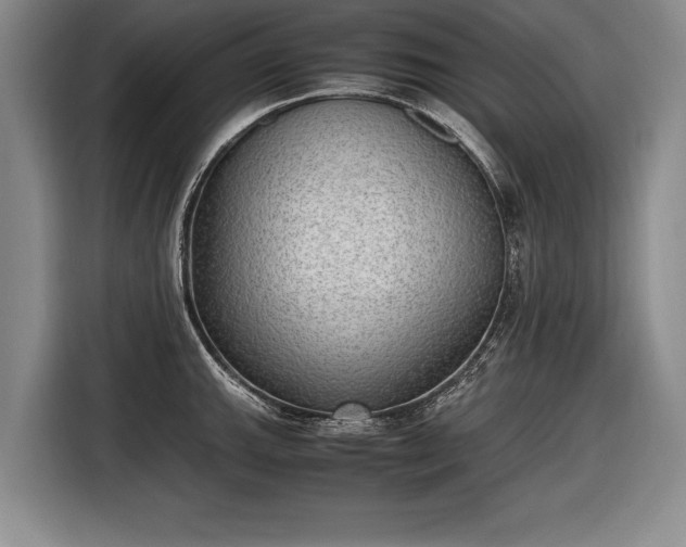 X0000116461143200912161227
