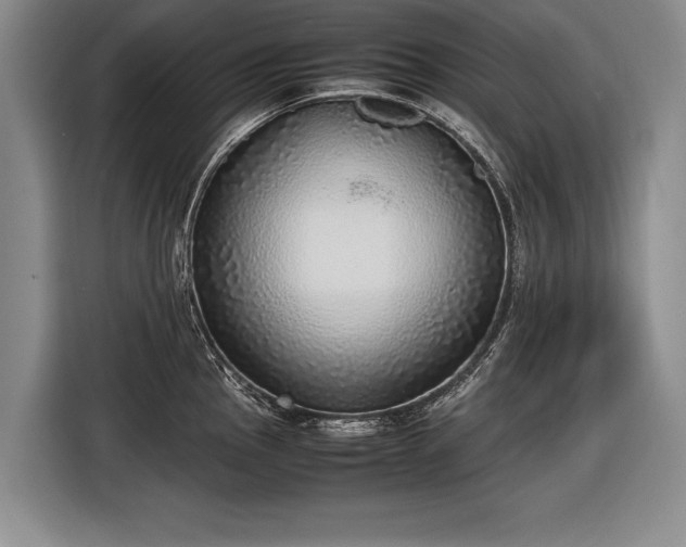 X0000116461145200912161227