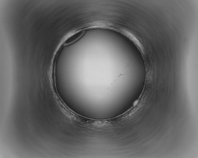 X0000116461146200912161227