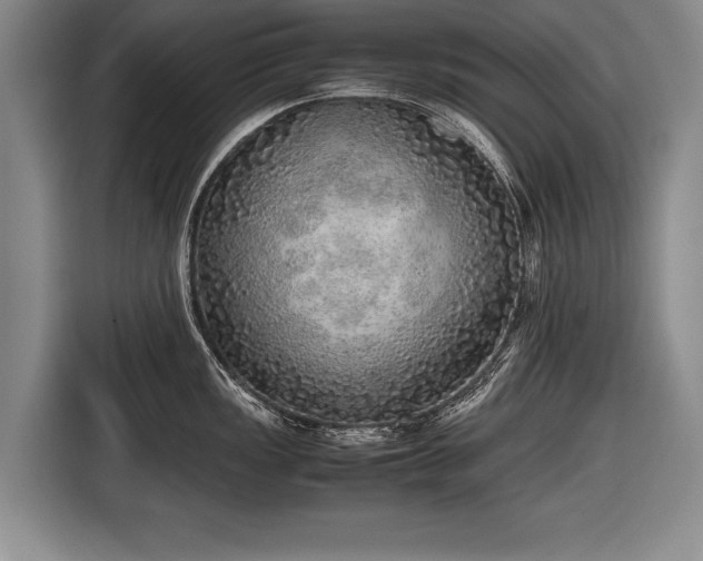 X0000116461149200912161227