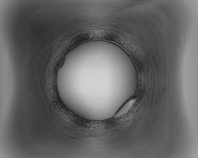 X0000116461153200912161226