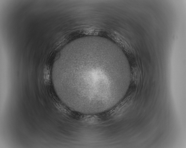 X0000116461154200912161226