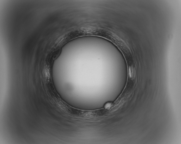 X0000116461155200912161226