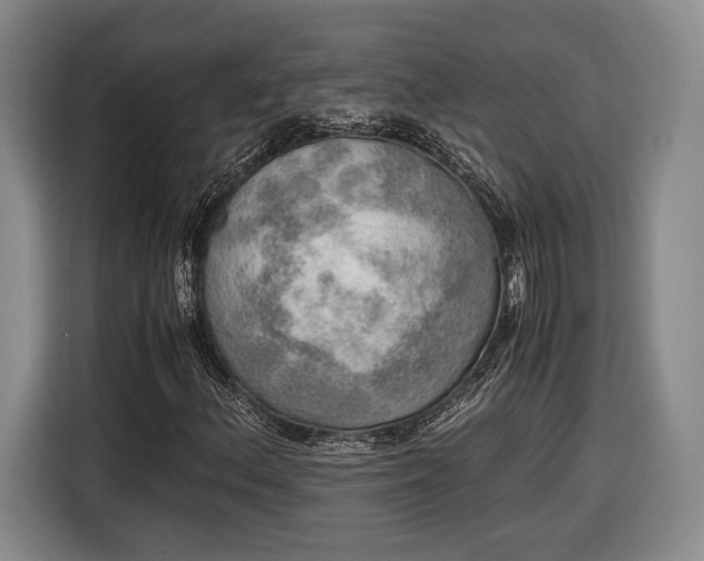 X0000116461156200912161226
