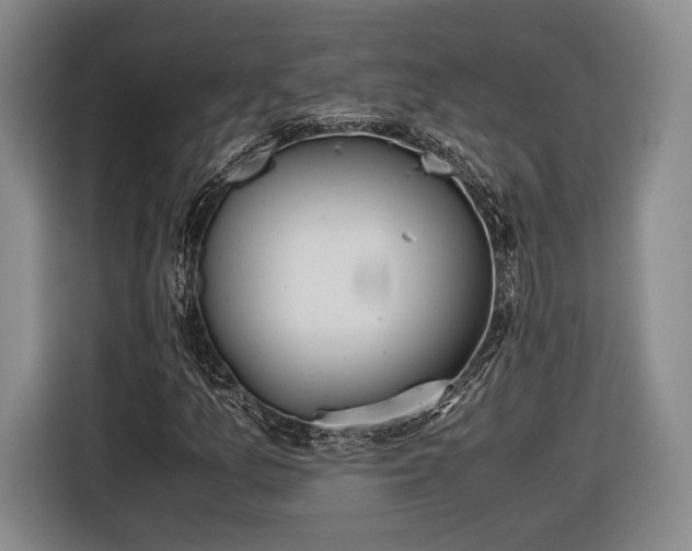 X0000116461157200912161226