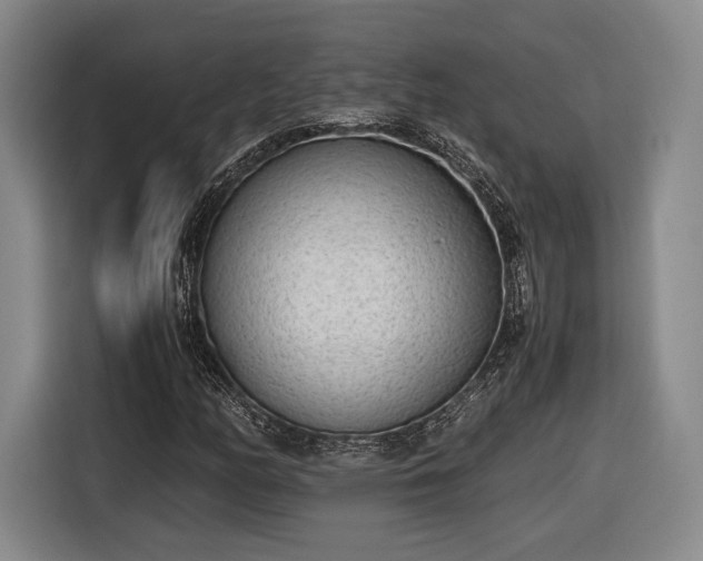 X0000116461158200912161226