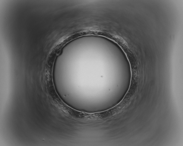 X0000116461159200912161226