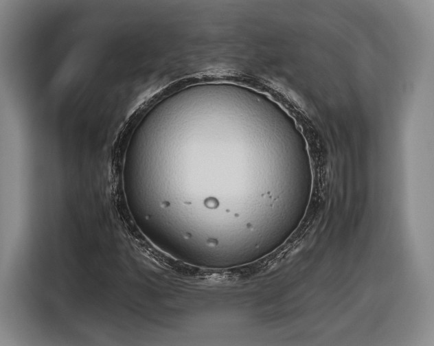 X0000116461160200912161226